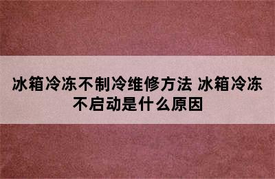 冰箱冷冻不制冷维修方法 冰箱冷冻不启动是什么原因